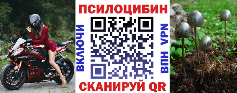 Псилоцибиновые грибы Psilocybine cubensis Воскресенск