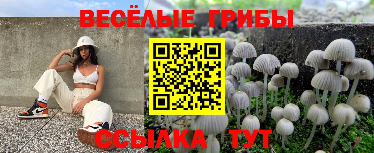 Галлюциногенные грибы Psilocybine cubensis  Вход с VPN  Галлюциногенные грибы MAGIC MUSHROOMS  Воскресенск 